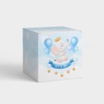 Boy Gender Reveal Favour Boxes Pakistan